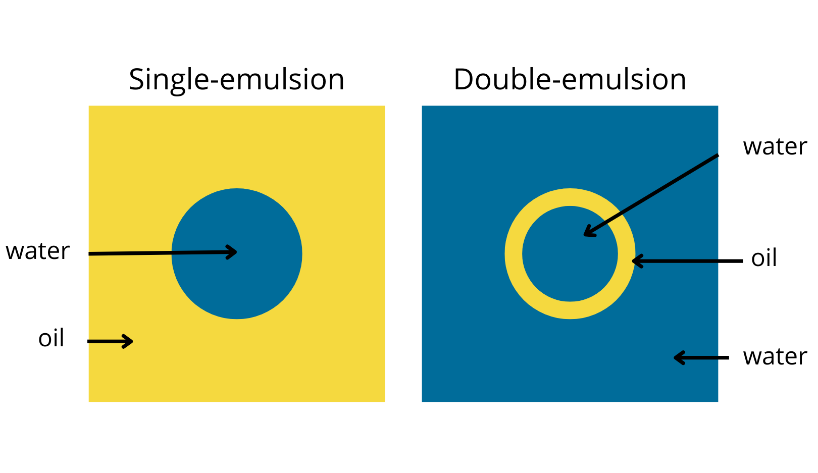 Single emulsion vs Double emulsion